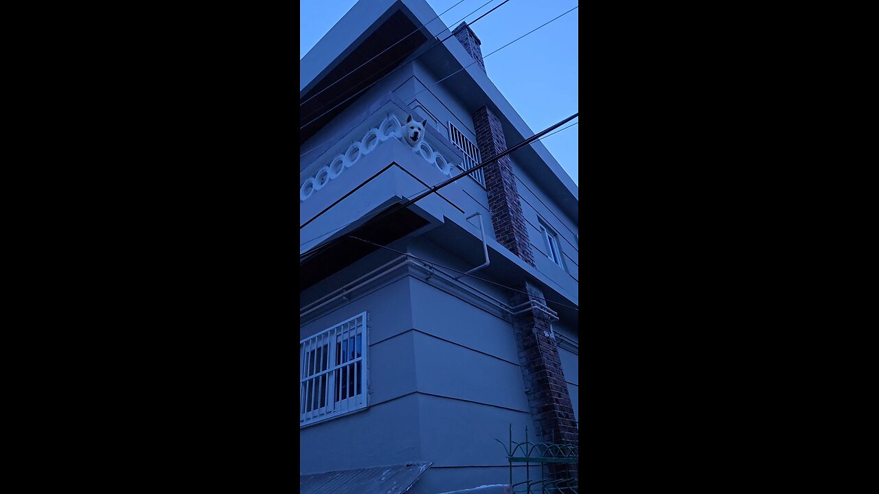 ㅎㅎ 단비보고싶어?