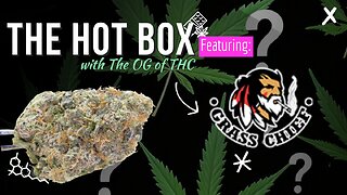 GRASS CHIEF SUMMER UNBOXING 🌞| THE HOT BOX 🔥📦
