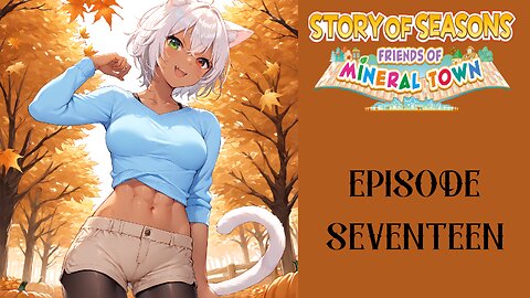 Story of Seasons Friends of Mineral Town S3 - 17