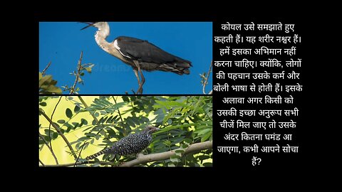 hindi stories