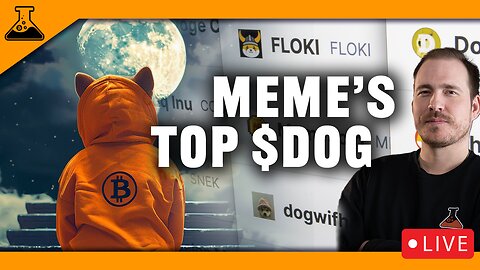 Crypto's Top Memecoin | Can $Dog (Bitcoin) Take Top Spot? w/ HenokCrypto