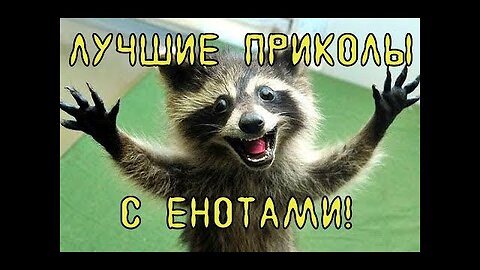FUN WITH RATONS😄🤪