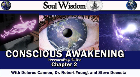 Conscious Awakening (Chapter 2)