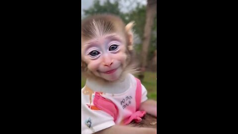 Cute Smile ❤️