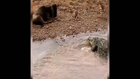 Dangerous Attack