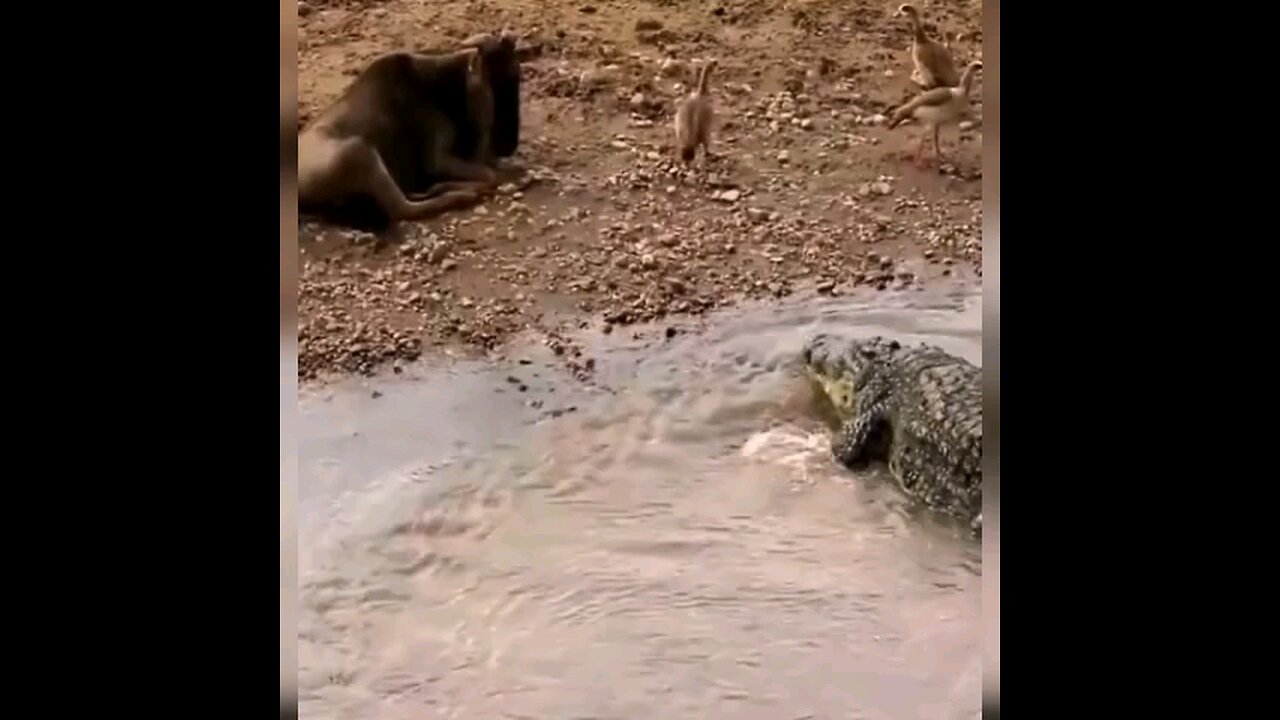 Dangerous Attack