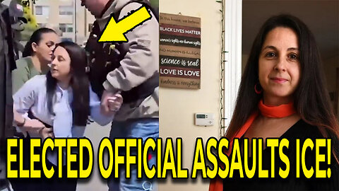 Elected Official Caught Assaulting DHS Officers On Camera!