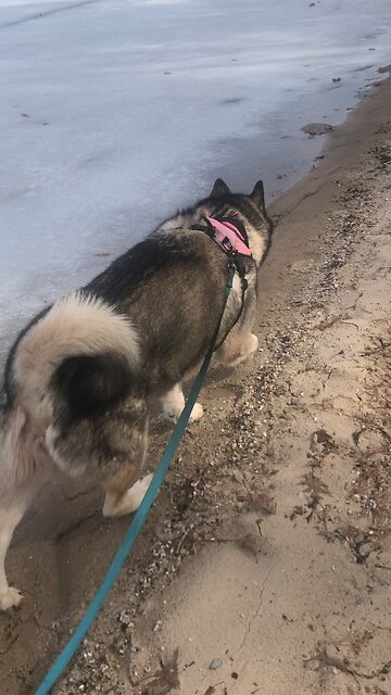 Pie 🥧 day Friday March 14, As we know Jesus better.
