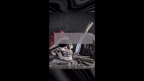 Talk Like a Pirate day book suggestions