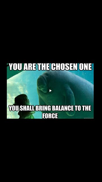 WHEN YOU MISTAKE COSMIC WATER DEMONS FROM THE STAR SIRIUS FOR DOLPHINS. PRICELESS!