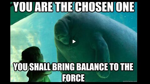 WHEN YOU MISTAKE COSMIC WATER DEMONS FROM THE STAR SIRIUS FOR DOLPHINS. PRICELESS!