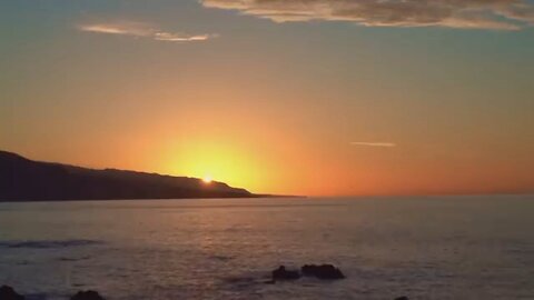 nature video good morning