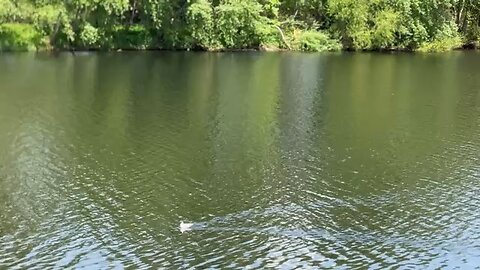River view