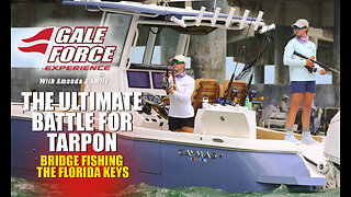 The Ultimate Battle for Tarpon – Bridge Fishing the Florida Keys