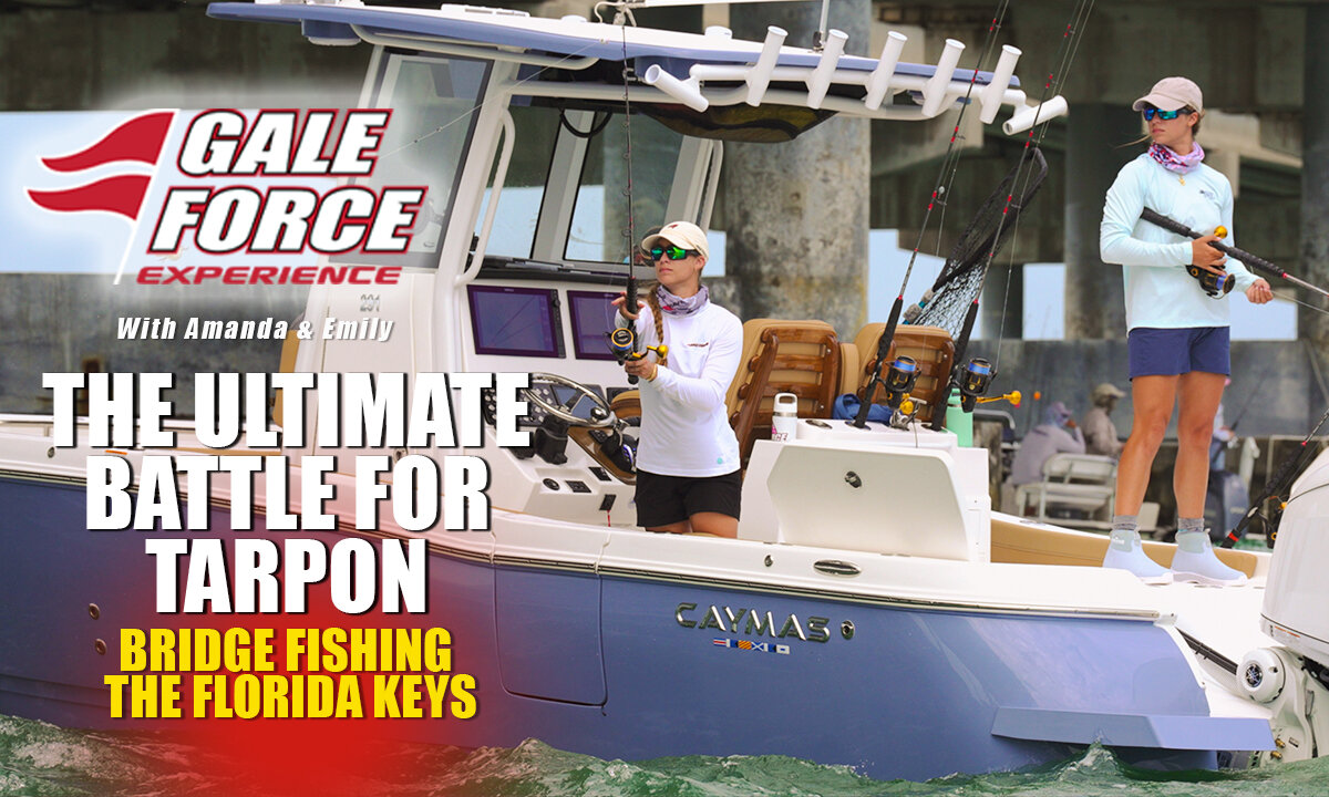 The Ultimate Battle for Tarpon – Bridge Fishing the Florida Keys