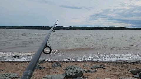 Summerville with no Bass