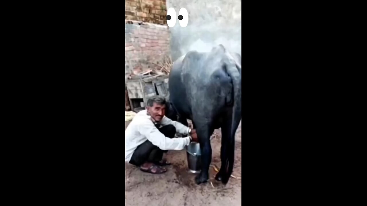 Amezing Milk Man||Funny video|| Full Time Pass.