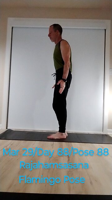 Rajahamsasana / Flamingo Pose