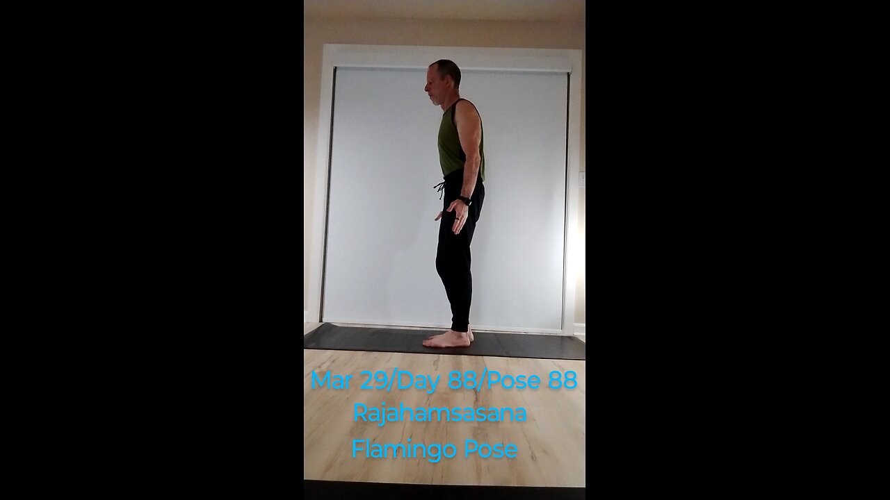 Rajahamsasana / Flamingo Pose