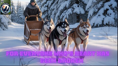 3 DOG NIGHT OUR SOUL OUR MUSIC FROM THE HEART