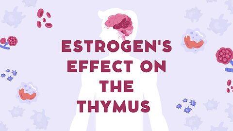 estrogen's impact on the THYMUS