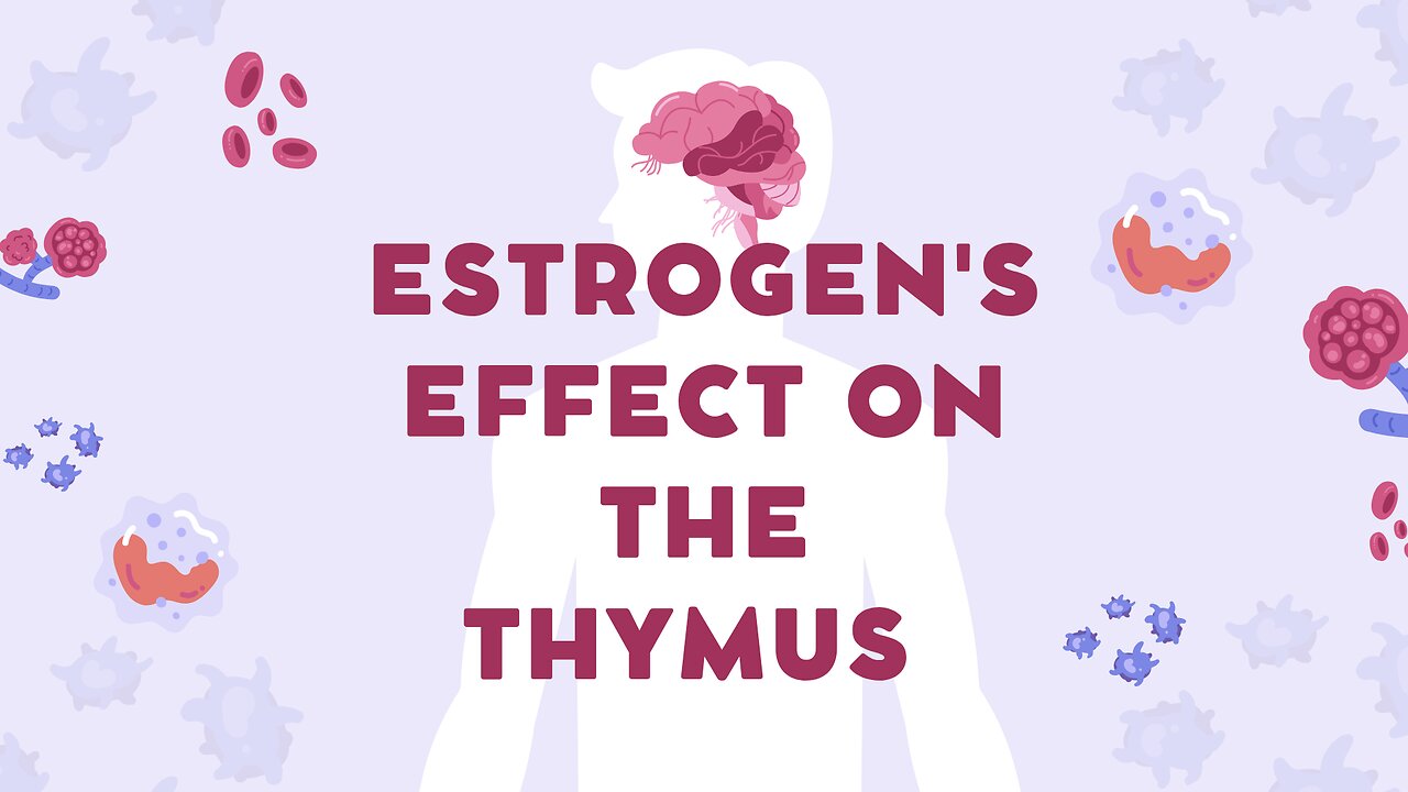 estrogen's impact on the THYMUS