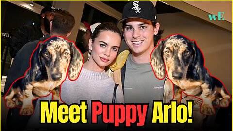 Paris Brosnan and Girlfriend Welcome Adorable Dachshund Puppy Arlo