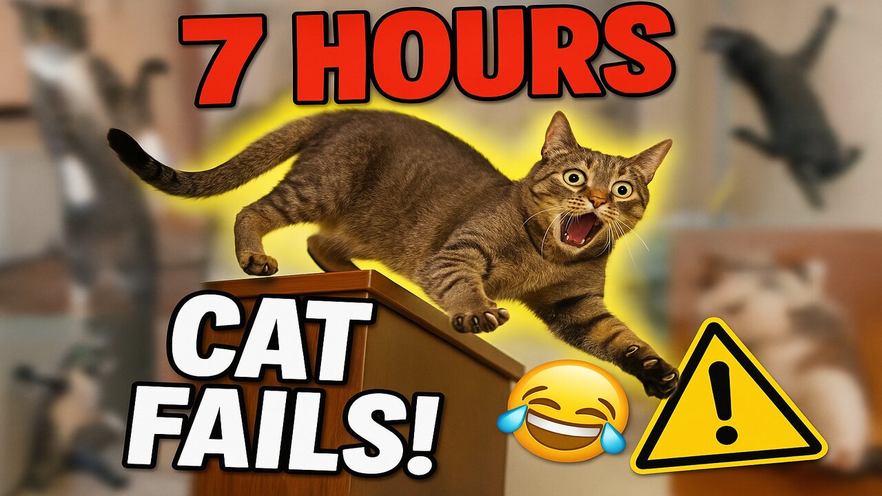 7 hours Cat Fails