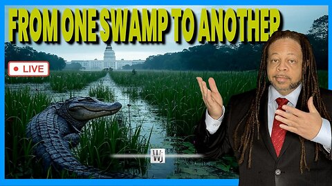 From One Swamp to Another! | The Will Johnson Show