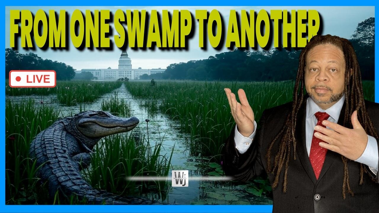 From One Swamp to Another! | The Will Johnson Show