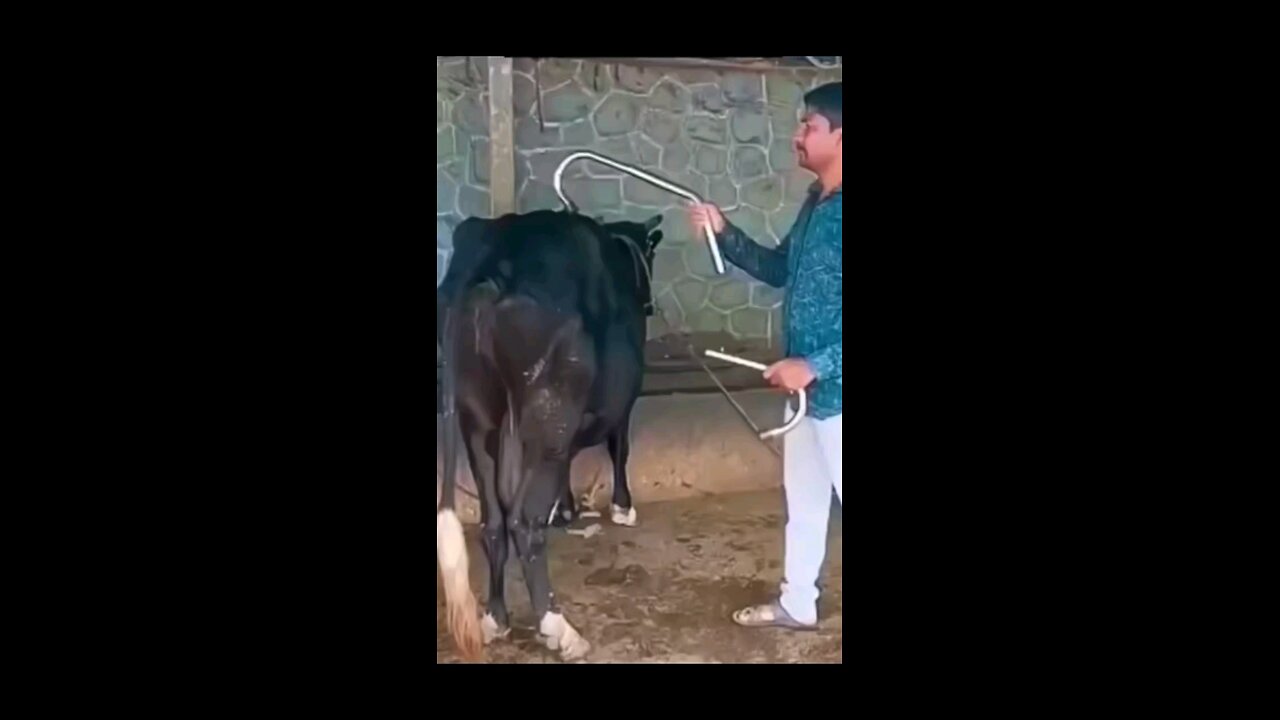 ɓkbkbkbkbkbkvjv