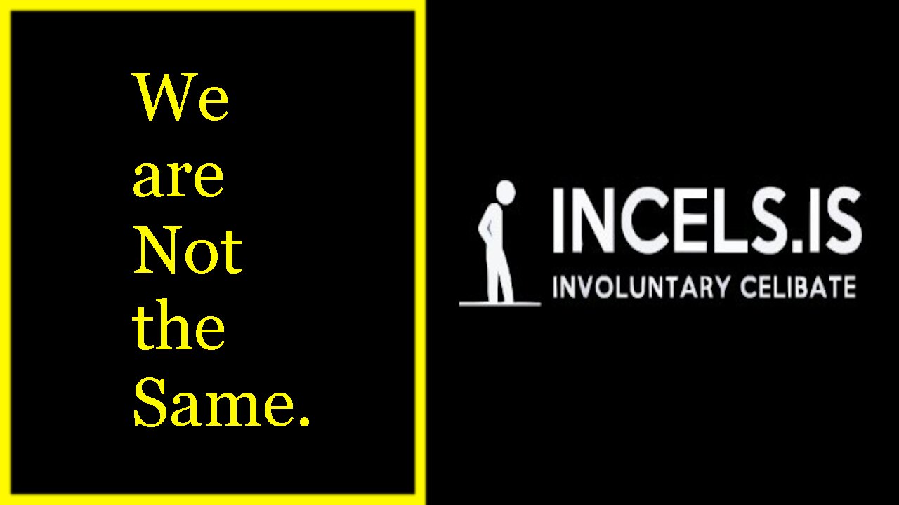 MGTOW: We are not responsible for the actions of Incels.