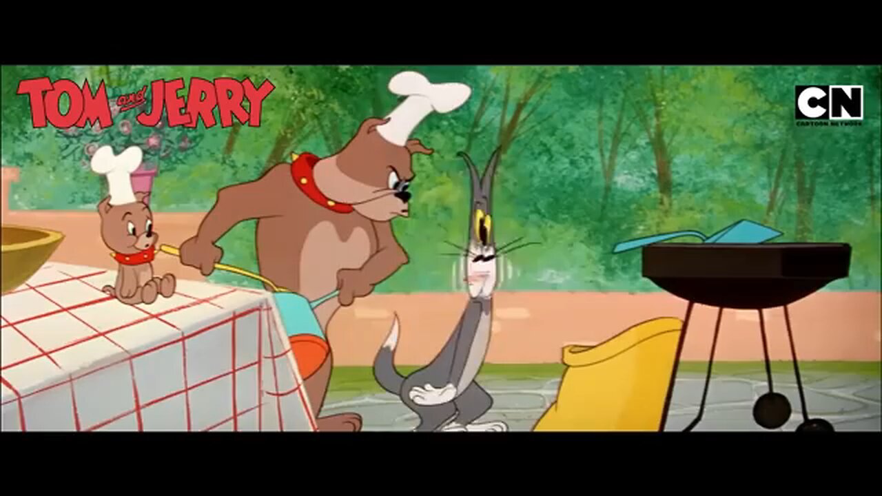 tom and jerry cartoon
