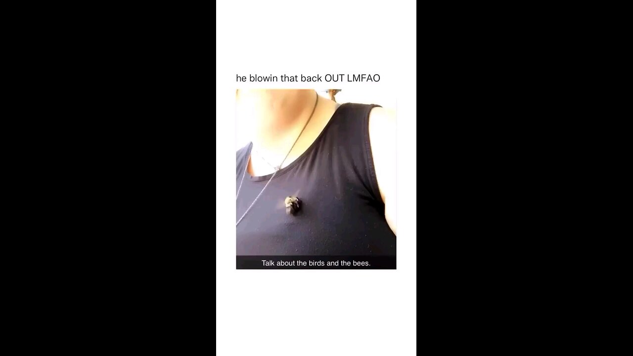 the bird and bees😶‍🌫️