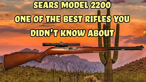 Sears model 2200 one of the best .22 rifles ever!