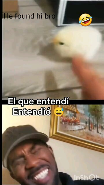 Do you have such a bro?