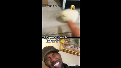 Do you have such a bro?