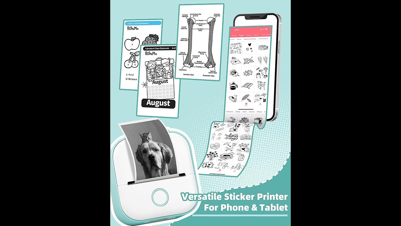 Memoking Sticker Printer
