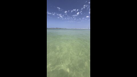 Caribbean life