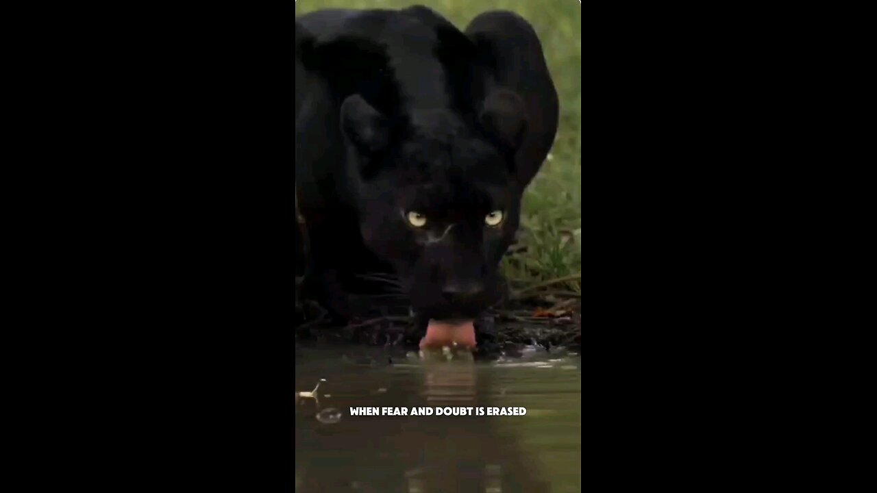 Evolution is inevitable