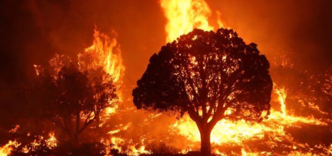 @@@@--Fire Midland Mi.-@@@@