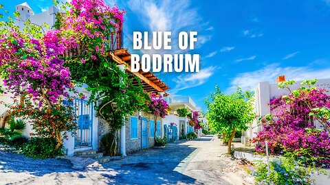 Blue of Bodrum #BodrumTravel #AegeanBeauty