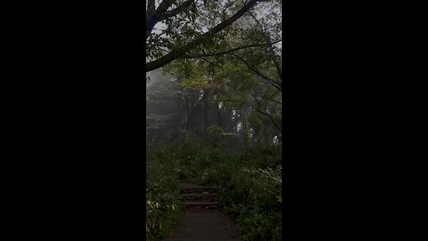 Nature ….