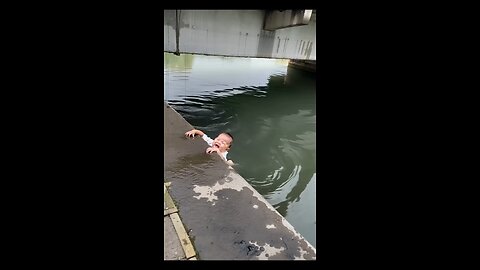 dog save baby