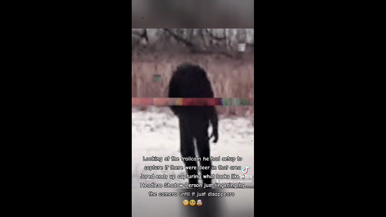 A Headless ghost was captured on a trailcam