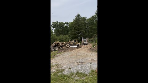 Thomas Blanton loading firewood logs