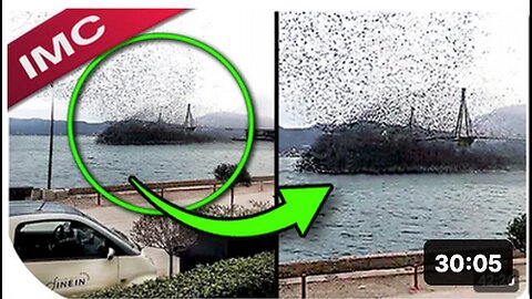 "Chilling Footage of Individuals Nearly Vanishing Forever"