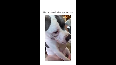 He’s ashamed