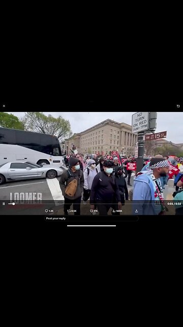 Organized, NOT Organic! Trump and Elon Protesters/Rioters BUSSED IN!