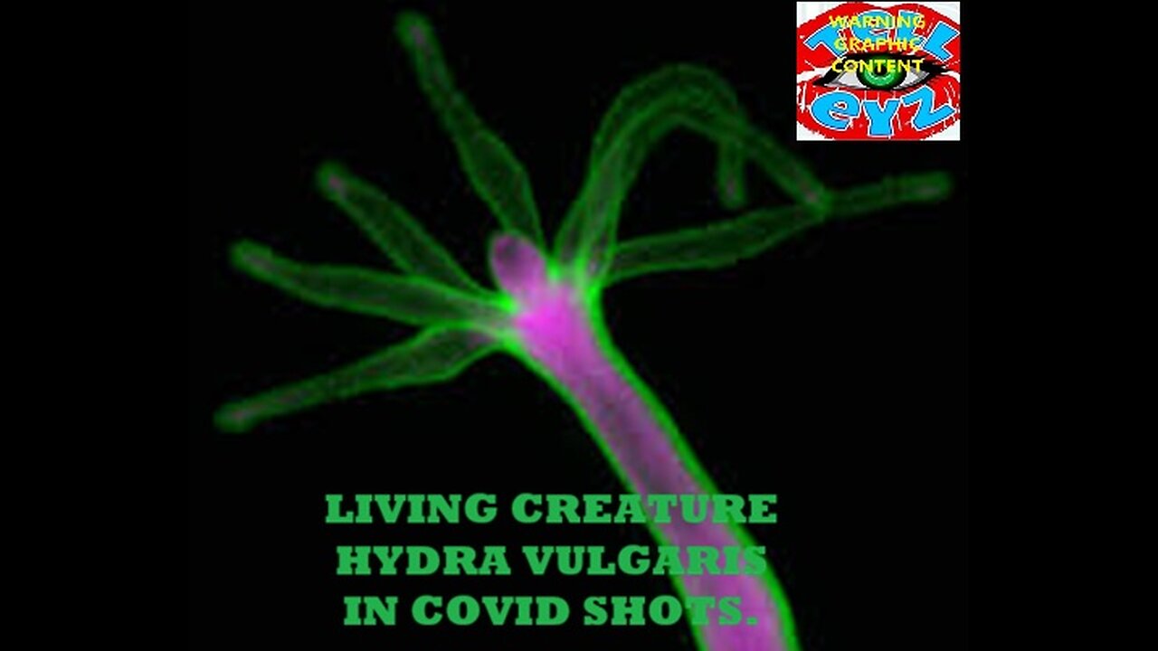 LIVING CREATURE IN THE COVID19 SHOTS